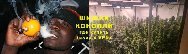 винт Богданович