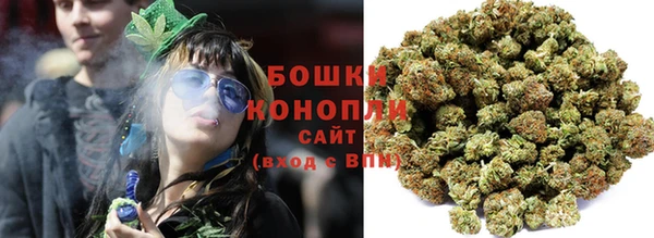 прущие грибы Сафоново
