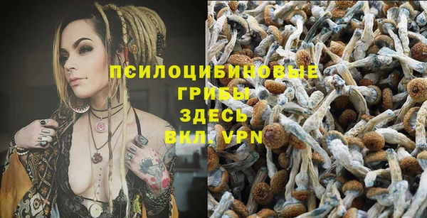 винт Богданович