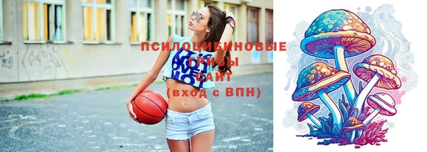 альфа пвп Богородицк
