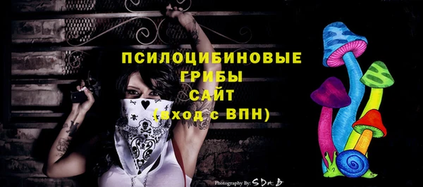 альфа пвп Богородицк