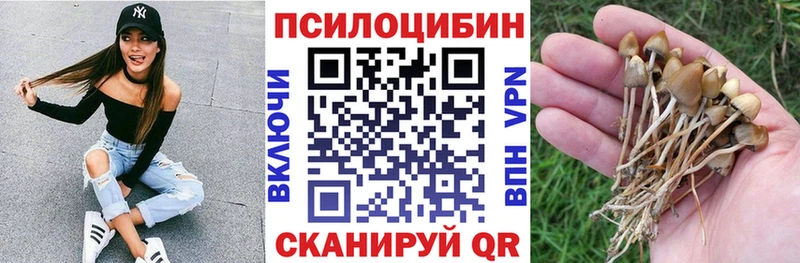 маркетплейс формула  Качканар  Псилоцибиновые грибы прущие грибы  где можно купить  
